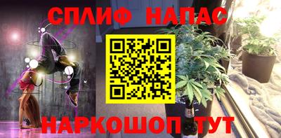 индика Рузаевка