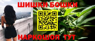 индика Рузаевка