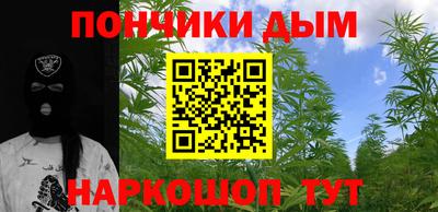 индика Рузаевка