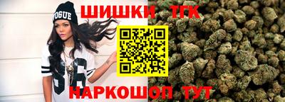 индика Рузаевка