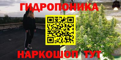 индика Рузаевка